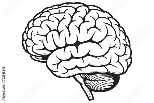 Brain silhouette icon simple vector illustration isolated on white background for medical concepts
