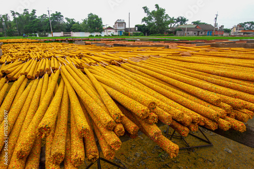 Rows of golden, handmade incense sticks laid out to dry under the sun in Xianxi Township, Changhua County, Taiwan, a traditional manufacturing process.
