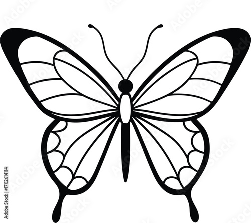Elegant Butterfly Outline Illustration with Detailed Wing Patterns for Coloring or Design on white background