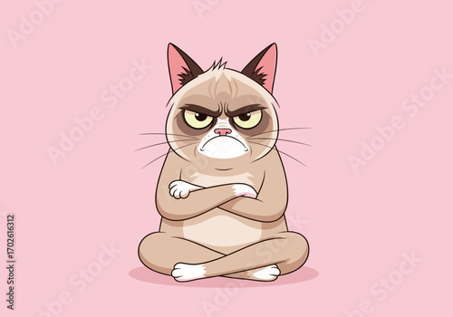 The grumpy cat meme icon of perpetual discontent and internet fame