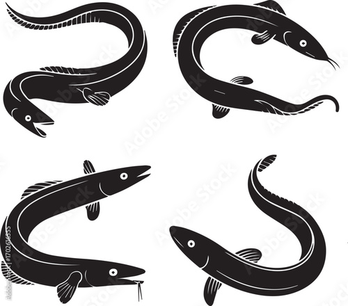 Eel Silhouette Set