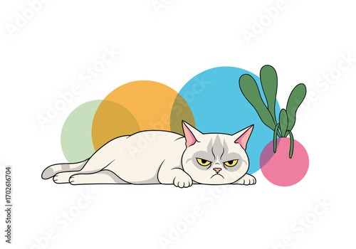 Grumpy white cat lying down next to a spiky green plant and colorful circles