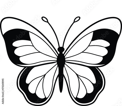 Elegant Butterfly Illustration with Intricate Wing Patterns in Black and White on white background