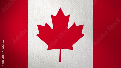 The Canadian flag flutters in the wind, with a looped background. The flag flutters in the wind. The concept of National Day and holidays in the country.