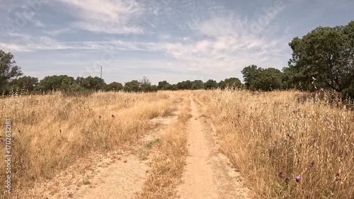 Camino Mozarabe de Santiago - rural path between Cerro Muriano and El Vacar, province of Cordoba, Andalusia, Spain