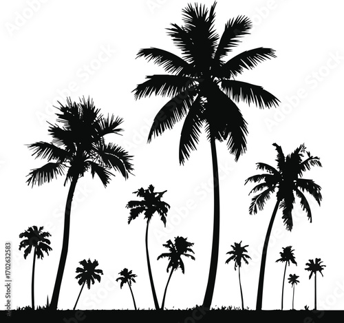 Palm Trees Silhouette Vector Set Tropical Tree Icons