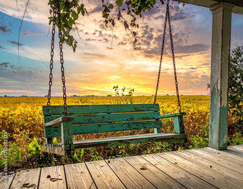 Vintage Porch Swing on Mississippi Delta Farmhouse - Southern Comfort
