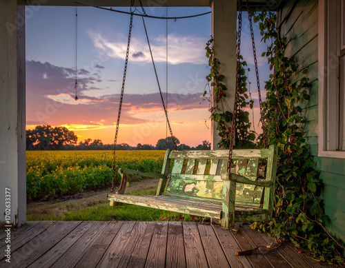Vintage Porch Swing on Mississippi Delta Farmhouse - Southern Comfort