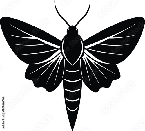 Elegant Moth Illustration with Detailed Wing Veins in Black and White on white background