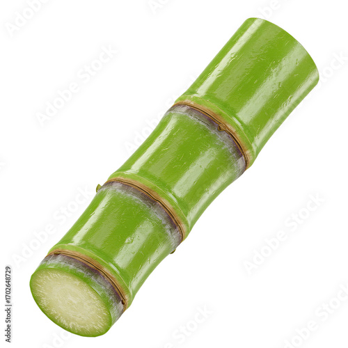 Vibrant Green Sugarcane Stalk with Visible Nodes and Cut End Against a Soft Green Background, Ideal for Packaging, Culinary Designs, and Agricultural