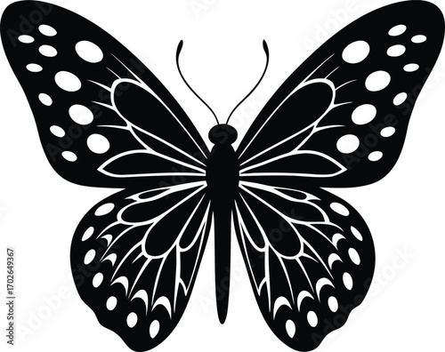 Elegant Butterfly Silhouette with Intricate Wing Patterns on a White Background