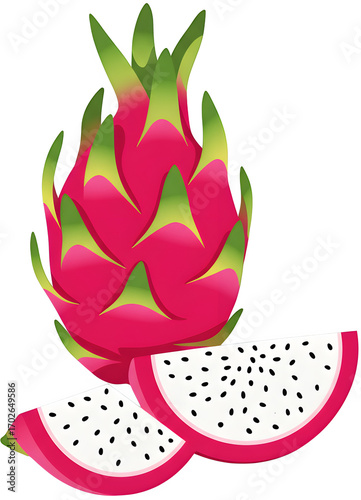Fresh Tropical Dragon Fruit Illustration Icon