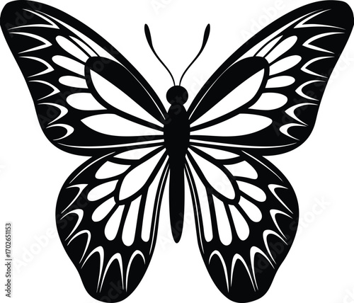 Elegant Butterfly Silhouette with Intricate Wing Patterns for Graphic Design on white background