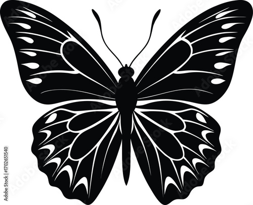 Elegant Butterfly Silhouette with Detailed Wing Patterns for Graphic Design Projects on white background