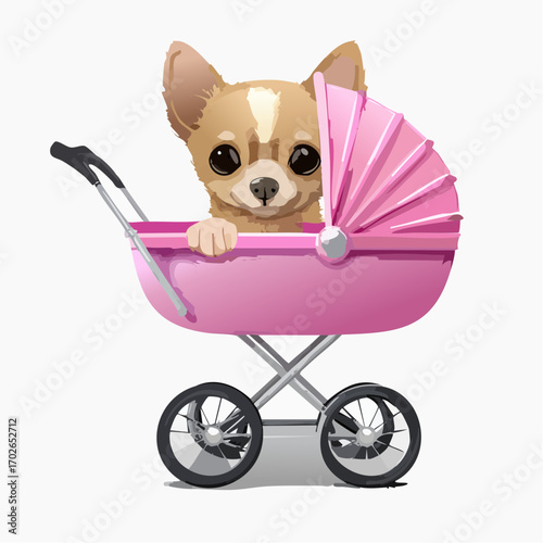 niedlicher Chihuahua