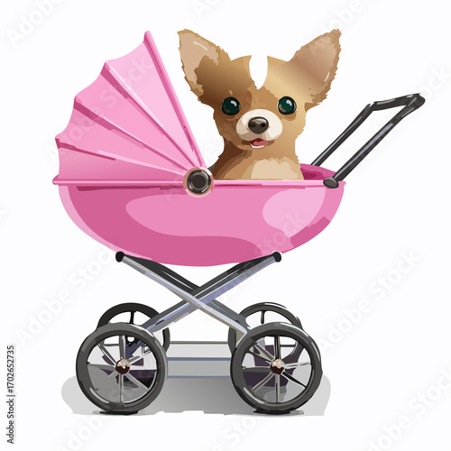 niedlicher Chihuahua
