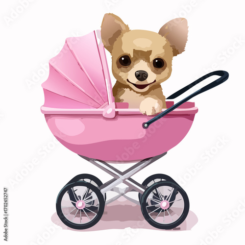 niedlicher Chihuahua