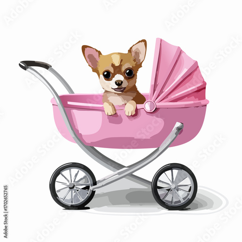 niedlicher Chihuahua