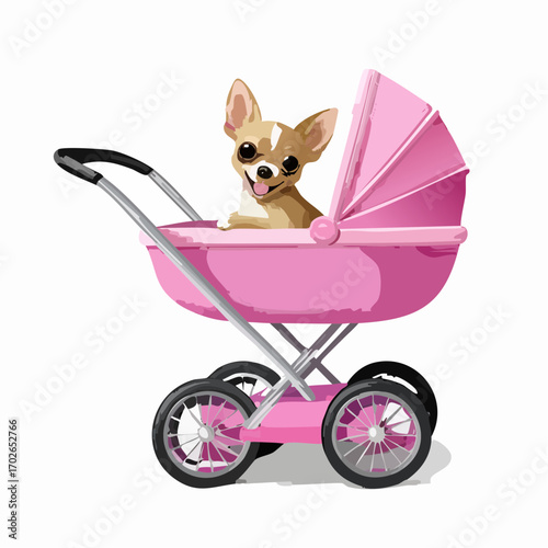 niedlicher Chihuahua