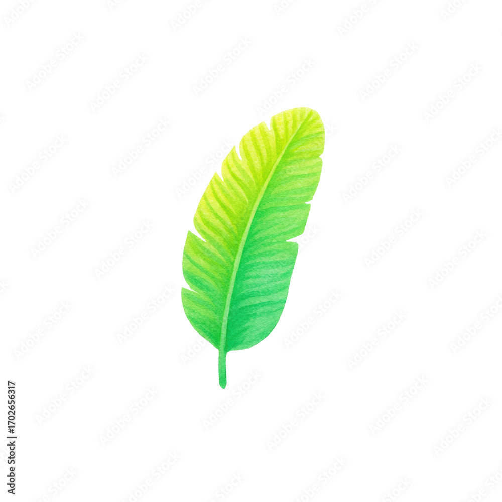 Fototapeta premium Vibrant green leaf illustration on black background, cut out