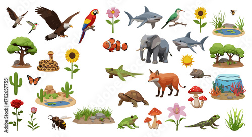 Illustration of a variety of animals plants and other objects on a white background spread out evenly on transparent background