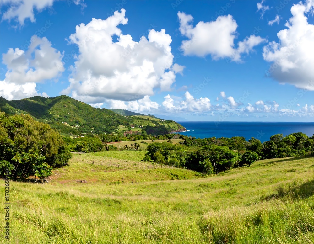 Obraz premium Lush landscape overlooking a coastline