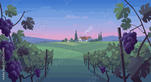 Ripe purple grapes hanging from vines in a vineyard landscape