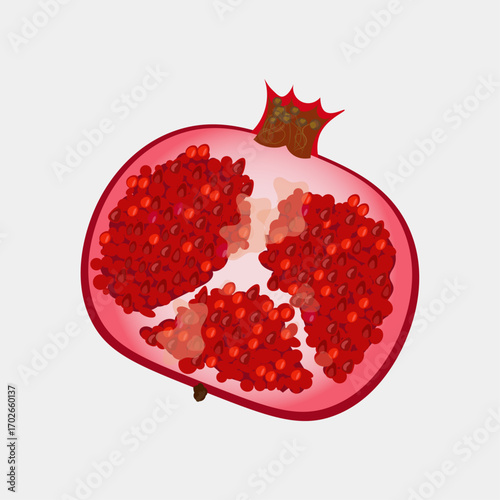 Ripe Pomegranate fruit.  Cartoon isolated summer red fruit. Hand drawn vector illustration isolated on white background