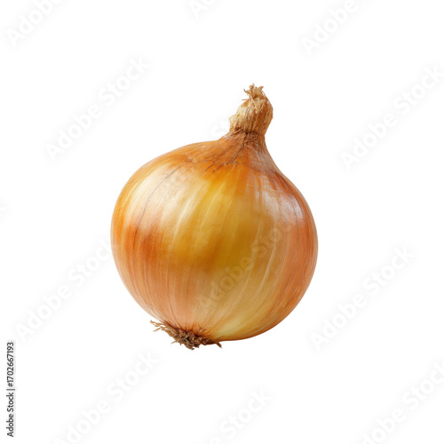 Wallpaper Mural Single Fresh Yellow Onion Isolated on Black Background Torontodigital.ca