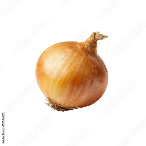 Single Fresh Yellow Onion Isolated on Black Background