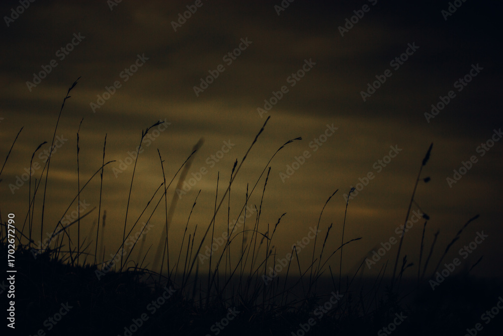 Fototapeta premium Silhouette of tall grass against a moody, golden-toned sky. Grass blades is set against a dusky sky, creating a serene and atmospheric landscape. The image evokes a sense of calm and tranquility.