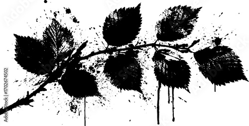 Black ink grunge silhouette of branch with leaves for urban art design