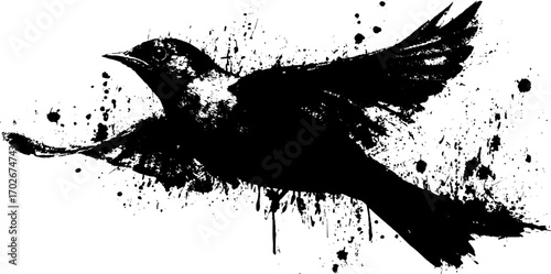 Dynamic black ink silhouette of flying bird with grunge splatter art