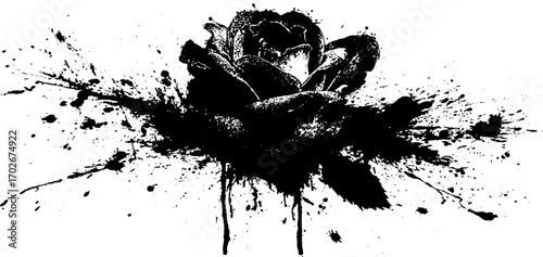 Black ink grunge silhouette of rose with splatter and drip effects for urban art design
