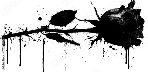 Black ink grunge silhouette of rose flower with splatter and drip effect