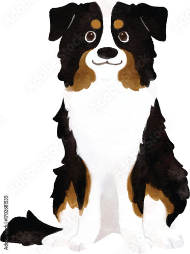 Watercolor Black Tri Australian Shepherd dog sitting in front view