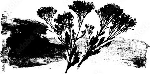 Black ink silhouette of vintage botanical on textured paper background for artistic design