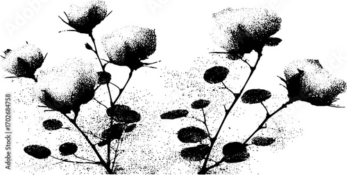 Black ink silhouette of branches and sprouts with grunge texture for creative design
