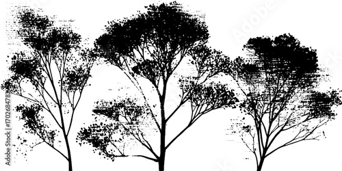 Black ink silhouette of tree branches and sprouts for nature and art design