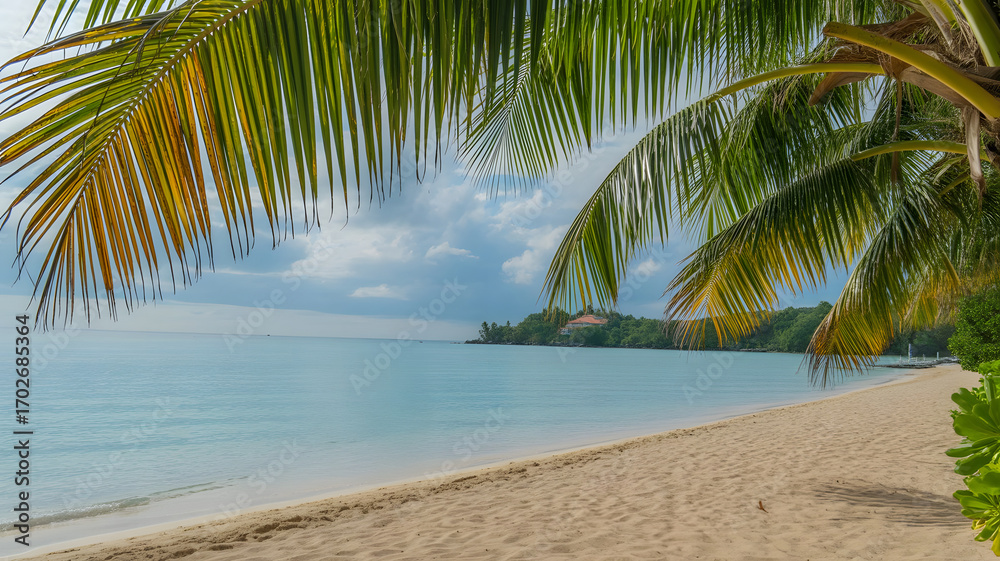 Fototapeta premium Tropical beach with palm trees by the ocean under a sunny sky