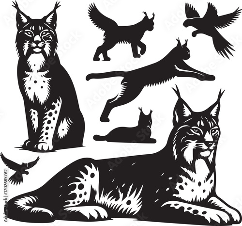 Majestic Wild Lynx Silhouette