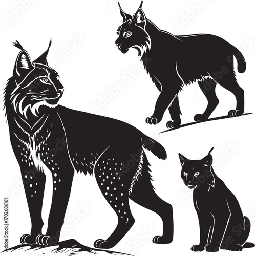 Majestic Wild Lynx Silhouette