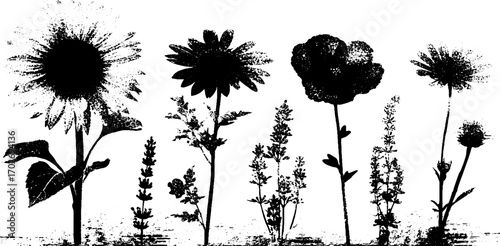 Black ink silhouette of decorative flowers for creative design