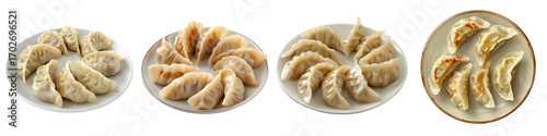 Set of serving plate holding gyoza dumplings arranged in a straight row, isolated on transparent background.