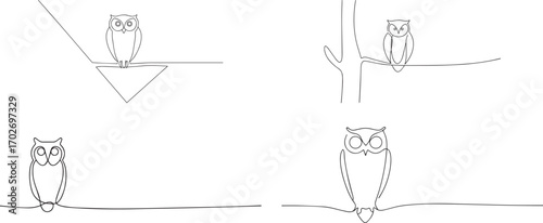Set of Owl bird one continuous line art, Vector illustration, One line art, Line art graphic style