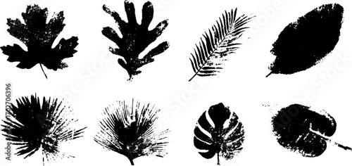 Black ink silhouette collection of oak, maple, and tropical leaves for creative design
