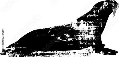 Arctic wildlife silhouette art featuring black ink walrus design