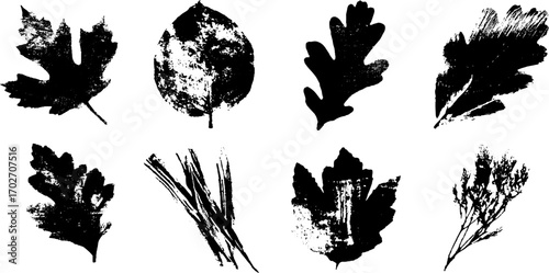 Black ink silhouette collection of autumn leaves for design and decor