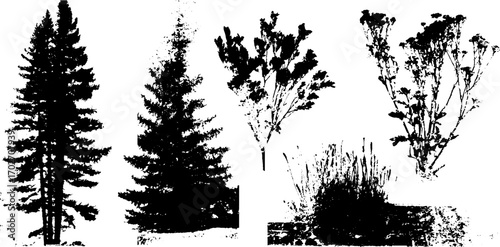 Black ink nature silhouettes of forest pines and foliage for design and decoration