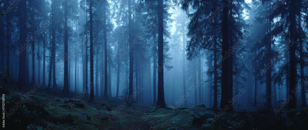 Obraz premium Enigmatic blue forest path shrouded in mist perfect for fantasy or mystery themes